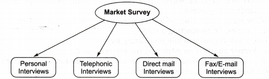 NCERT-Solutions-for-Class-11-Entrepreneurship-Researching-the-Market-Facts-That-Matter-Q2