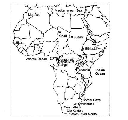 NCERT Solutions for Class 11 History Chapter 1 From the Beginning of Time Map Skills Q1