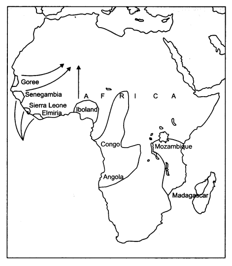 NCERT Solutions for Class 11 History Chapter 8 Confrontation of Cultures Map Skills Q2