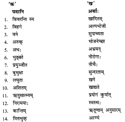 NCERT Solutions for Class 11 Sanskrit Chapter 2 सर्वे सन्तु निरामयाः Q8