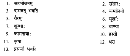 NCERT Solutions for Class 11 Sanskrit Chapter 3 शीलम् एतत् प्रशस्यते 5