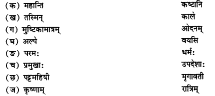 NCERT Solutions for Class 11 Sanskrit Chapter 6 क्षमावीरो विजयते Q4.1