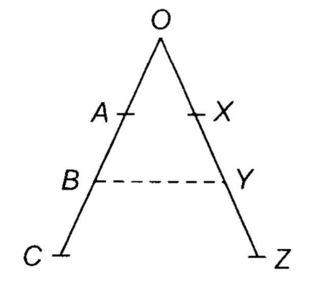 NCERT-Solutions-for-Class-12-Business-Studies-Chapter-2-Principles-of-Management-Q5