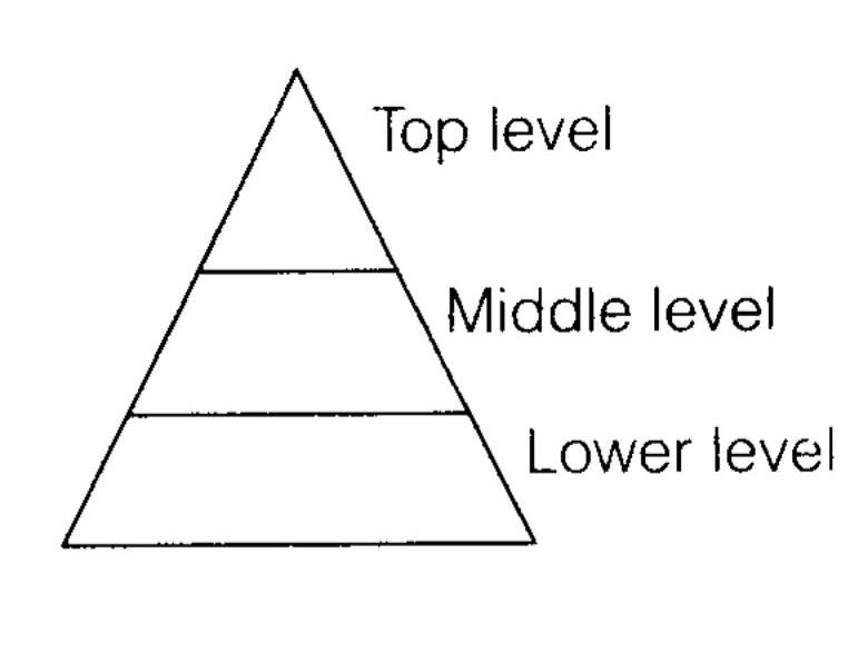 NCERT-Solutions-for-Class-12-Business-Studies-Chapter-5-Organising-Q4