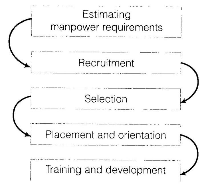 NCERT Solutions for Class 12 Business Studies Chapter 6 Staffing Case Problems Q1