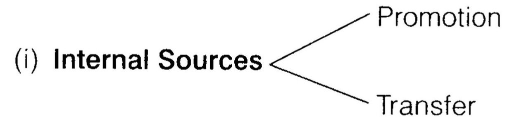 NCERT-Solutions-for-Class-12-Business-Studies-Chapter-6-Staffing-SAQ-Q1