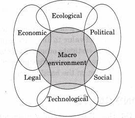 NCERT Solutions for Class 12 Entrepreneurship Entrepreneurial Opportunity More Questions VSAQ Q9