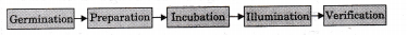NCERT Solutions for Class 12 Entrepreneurship Entrepreneurial Opportunity Textbook Questions LAQ Q4