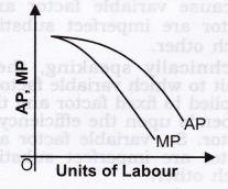 NCERT Solutions for Class 12 Micro Economics Production HOTS Q1