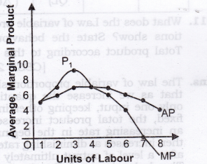 NCERT Solutions for Class 12 Micro Economics Production SAQ Q3