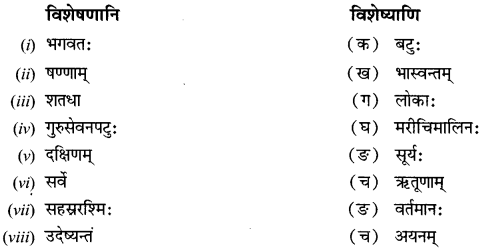 NCERT Solutions for Class 12 Sanskrit Chapter 2 सूर्यः एव प्रकृतेः आधारः 4
