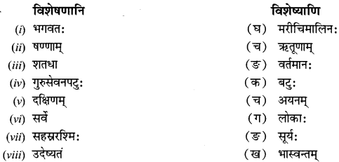 NCERT Solutions for Class 12 Sanskrit Chapter 2 सूर्यः एव प्रकृतेः आधारः 5