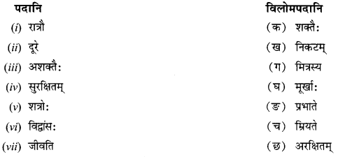 NCERT Solutions for Class 12 Sanskrit Chapter 4 दूरदृष्टिः फलप्रदा 14