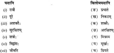 NCERT Solutions for Class 12 Sanskrit Chapter 4 दूरदृष्टिः फलप्रदा 15