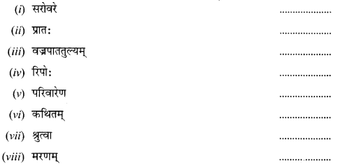 NCERT Solutions for Class 12 Sanskrit Chapter 4 दूरदृष्टिः फलप्रदा 8