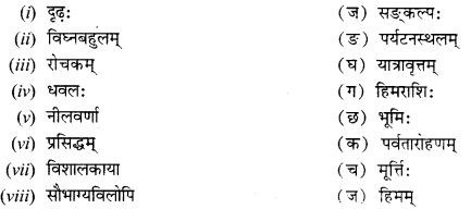 NCERT Solutions for Class 12 Sanskrit Chapter 5 अहो! राजते कीदृशीयं हिमानी Q6.1