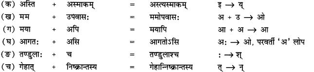 NCERT Solutions for Class 12 Sanskrit Chapter 7 दारिद्र्ये दुर्लभं सत्त्वम् Q4.1