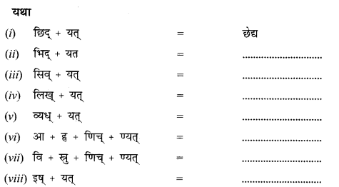 NCERT Solutions for Class 12 Sanskrit Chapter 8 आश्चर्यमयं विज्ञानजगत् Q4