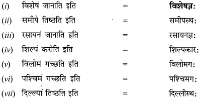 NCERT Solutions for Class 12 Sanskrit Chapter 8 आश्चर्यमयं विज्ञानजगत् Q5.1