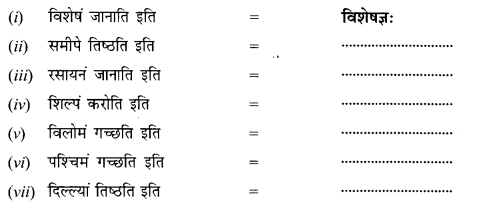 NCERT Solutions for Class 12 Sanskrit Chapter 8 आश्चर्यमयं विज्ञानजगत् Q5