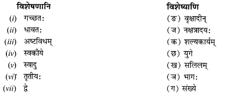 NCERT Solutions for Class 12 Sanskrit Chapter 8 आश्चर्यमयं विज्ञानजगत् Q6.1