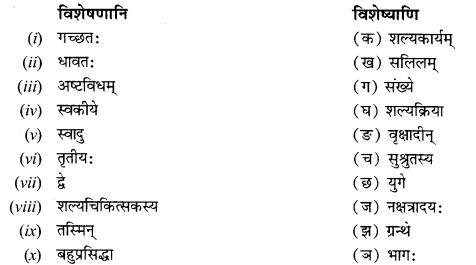NCERT Solutions for Class 12 Sanskrit Chapter 8 आश्चर्यमयं विज्ञानजगत् Q6