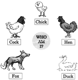 NCERT Solutions for Class 2 English Chapter 11 Funny Bunny Lets Do Q1