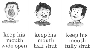 NCERT Solutions for Class 2 English Chapter 14 On My Blackboard I can Draw Say Aloud Q3
