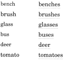NCERT Solutions for Class 2 English Chapter 16 I am the Music Man Lets Write Q3