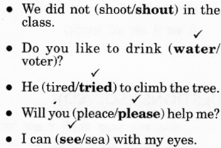NCERT Solutions for Class 2 English Chapter 20 Strange Talk Lets Write Q2
