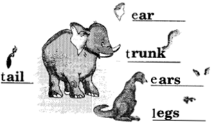 NCERT Solutions for Class 2 English Chapter 4 I am Lucky Lets Draw Q1.1