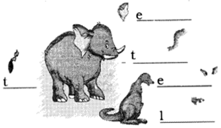 NCERT Solutions for Class 2 English Chapter 4 I am Lucky Lets Draw Q1