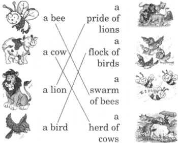 NCERT Solutions for Class 2 English Chapter 5 I Want Word Building Q1
