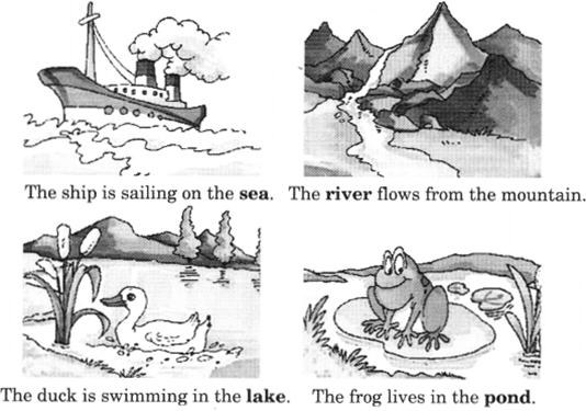 NCERT Solutions for Class 2 English Chapter 8 Rain Lets Write Q1