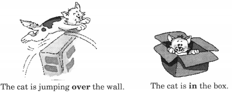 NCERT-Solutions-for-Class-2-English-Chapter-9-Storm-in-the-Garden-Lets-Write-Q1