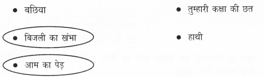NCERT Solutions for Class 2 Hindi Chapter 1 ऊँट चला Q3