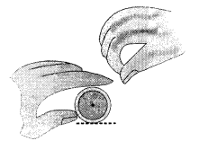 NCERT-Solutions-for-Class-2-Maths-Chapter-1-What-is-Long-What-is-Round-Q5
