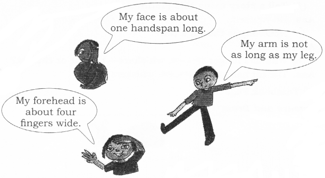 NCERT Solutions for Class 2 Maths Chapter 13 The Longest Step Q12