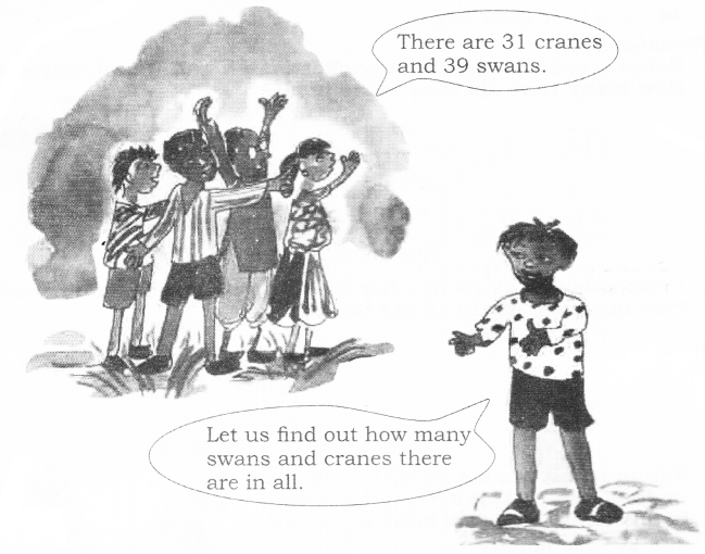 NCERT-Solutions-for-Class-2-Maths-Chapter-14-Birds-Come-Birds-Go-Q1
