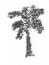 NCERT Solutions for Class 2 Maths Chapter 14 Birds Come, Birds Go Q10.1