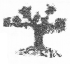 NCERT Solutions for Class 2 Maths Chapter 14 Birds Come, Birds Go Q10.2