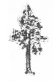 NCERT Solutions for Class 2 Maths Chapter 14 Birds Come, Birds Go Q10.3