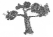 NCERT Solutions for Class 2 Maths Chapter 14 Birds Come, Birds Go Q10.4