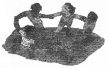 NCERT Solutions for Class 2 Maths Chapter 15 How Many Ponytails Q10.1