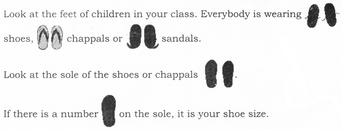NCERT Solutions for Class 2 Maths Chapter 15 How Many Ponytails Q6.3