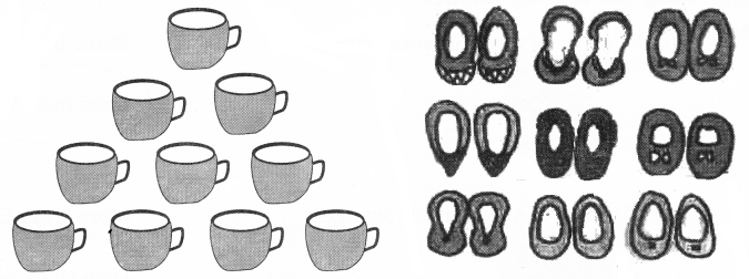 NCERT-Solutions-for-Class-2-Maths-Chapter-2-Counting-in-Groups-Q1