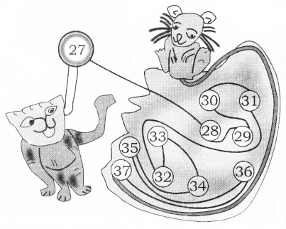 NCERT Solutions for Class 2 Maths Chapter 2 Counting in Groups Q10