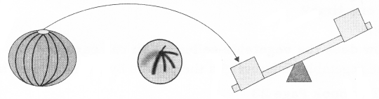 NCERT Solutions for Class 2 Maths Chapter 3 How Much Can You Carry Q4.1