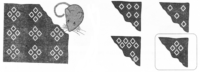 NCERT-Solutions-for-Class-2-Maths-Chapter-5-Patterns-Q1