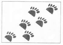 NCERT Solutions for Class 2 Maths Chapter 6 Footprints Q2